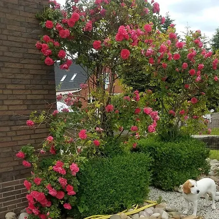 Ostfriesland Apartment