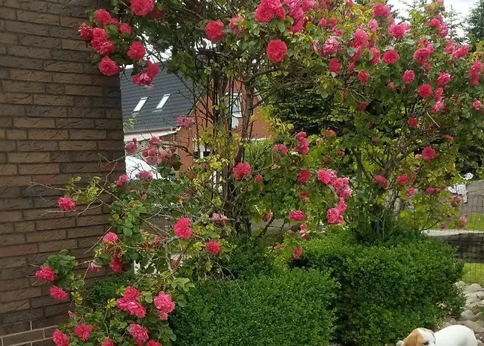 Ostfriesland Apartment